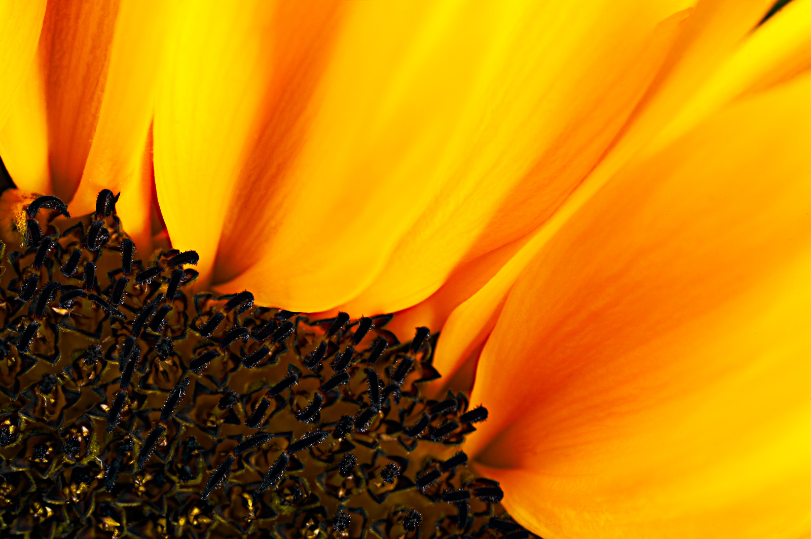 20DU5125 (37 von 45)dpp